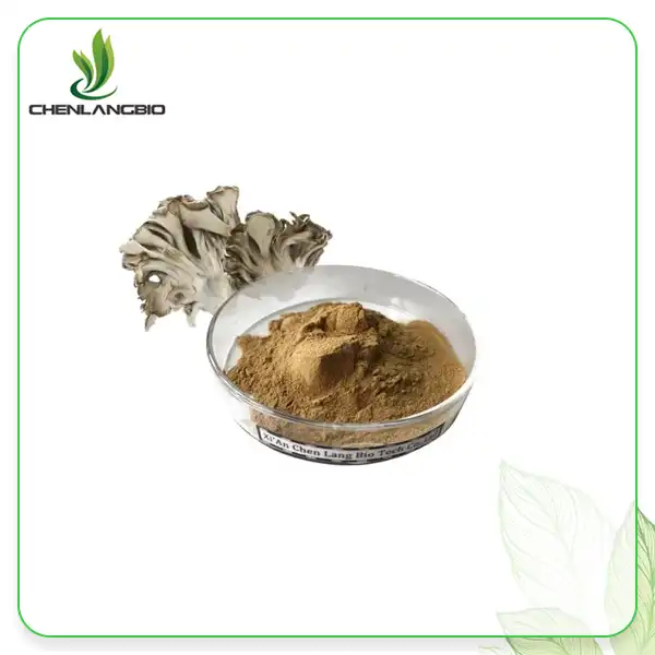 Maitake Extract Powder